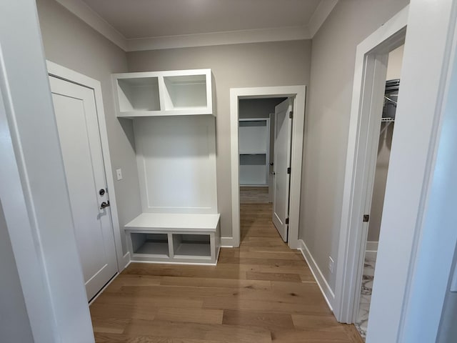 2301 Rockweather Ct, Murfreesboro, TN 37128 - mudroom featuring wood finished floors, ornamental molding, and baseboards