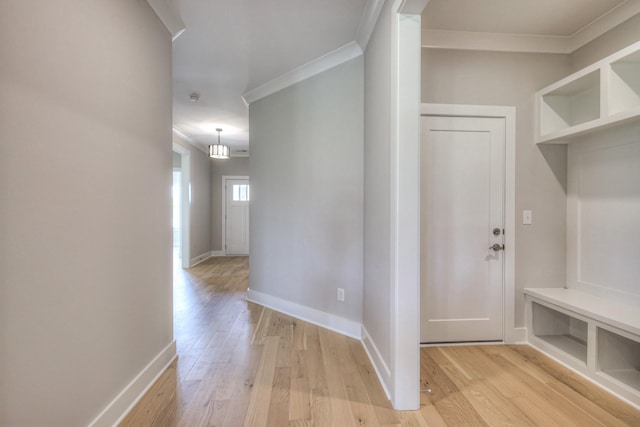 2301 Rockweather Ct, Murfreesboro, TN 37128 - photo 9