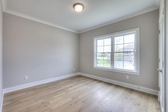 2301 Rockweather Ct, Murfreesboro, TN 37128 - photo 3
