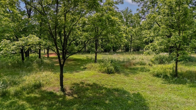 0 Waterfork Rd, Ethridge, TN 38456