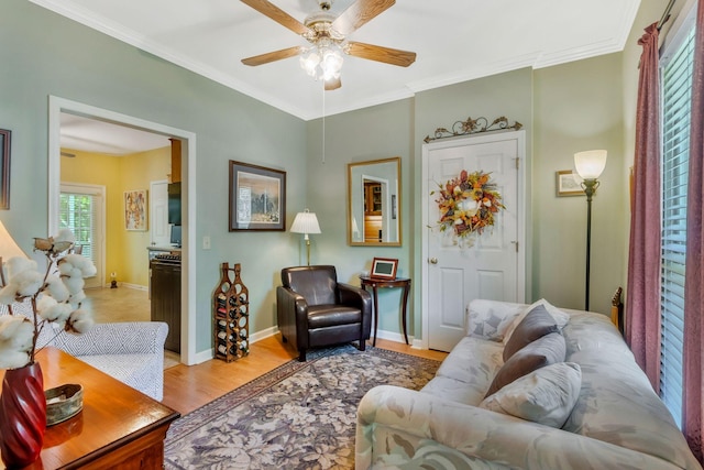 705 W Statue Ct, Franklin, TN 37067 - living room with a ceiling fan, light wood-type flooring, crown molding, and baseboards