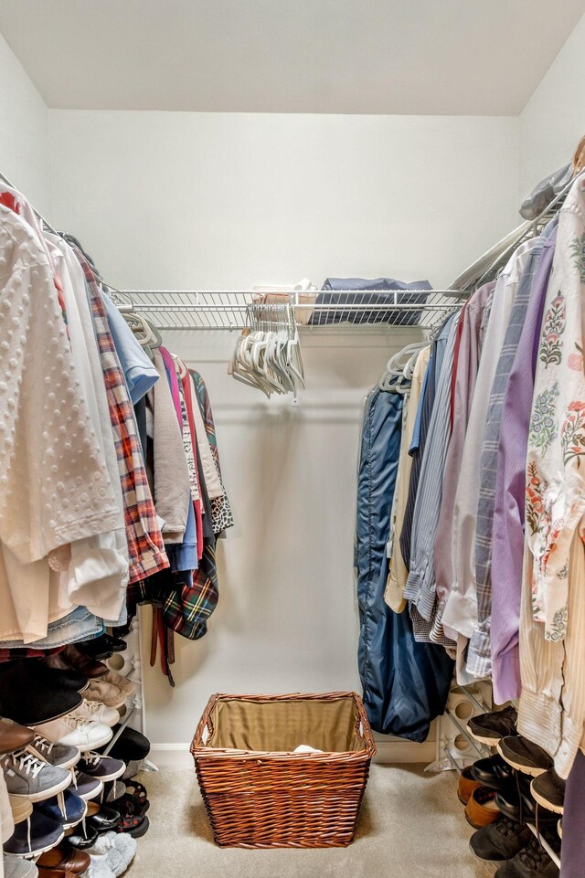 705 W Statue Ct, Franklin, TN 37067 - walk in closet with carpet