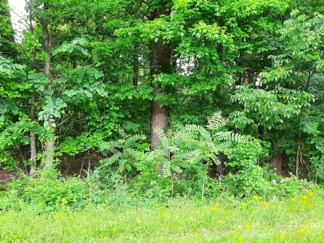 2790 Mosley Ferry Rd Unit 5.24, Ashland City, TN 37015 - photo 33