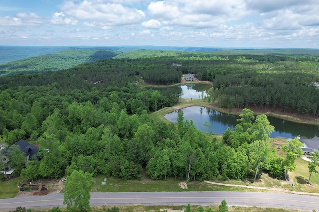 460 Cherokee Path, Jasper, TN 37347 - photo 4