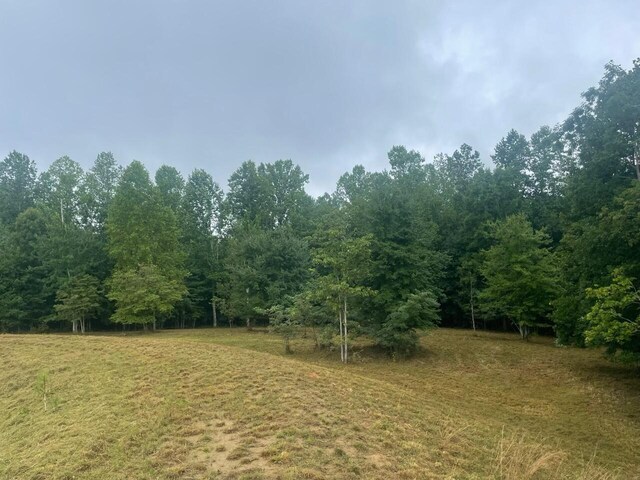 460 Cherokee Path, Jasper, TN 37347 - photo 20