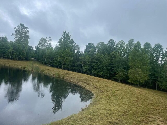 460 Cherokee Path, Jasper, TN 37347 - photo 18