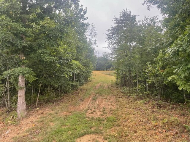 460 Cherokee Path, Jasper, TN 37347 - photo 10