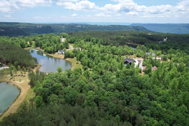 460 Cherokee Path, Jasper, TN 37347 - photo 6