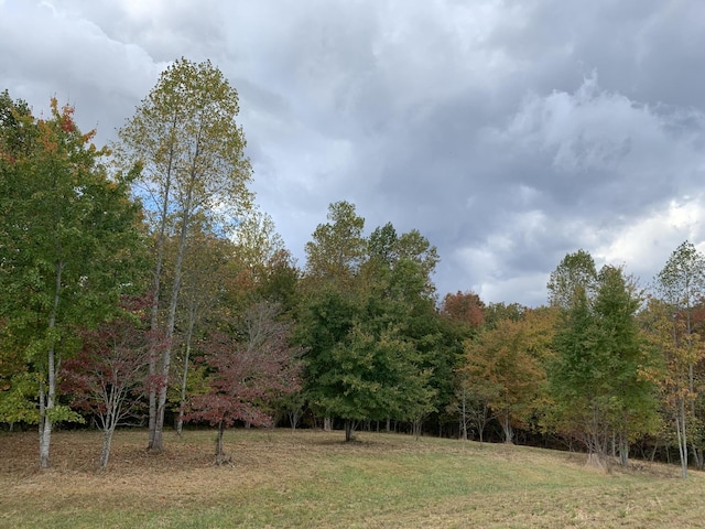 460 Cherokee Path, Jasper, TN 37347 - photo 16