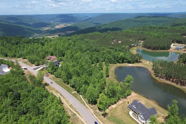 460 Cherokee Path, Jasper, TN 37347 - photo 1