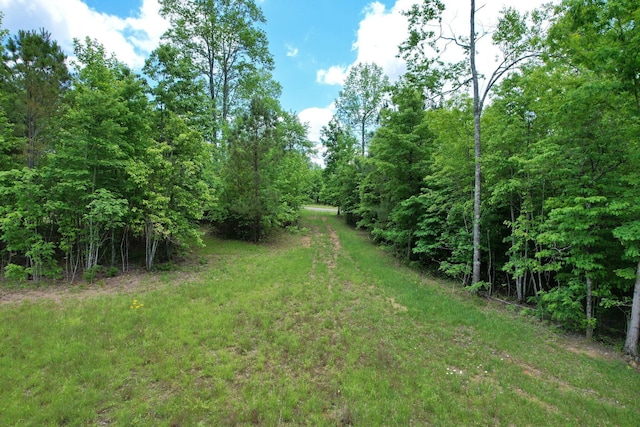 460 Cherokee Path, Jasper, TN 37347 - photo 8