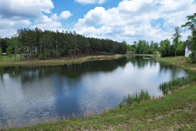 460 Cherokee Path, Jasper, TN 37347 - photo 14