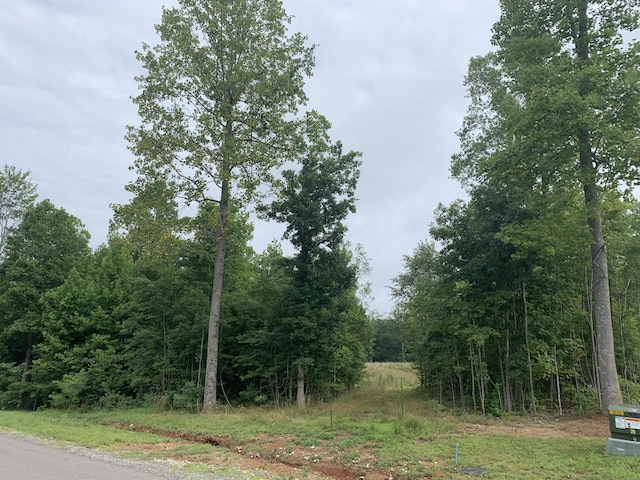 460 Cherokee Path, Jasper, TN 37347 - photo 7