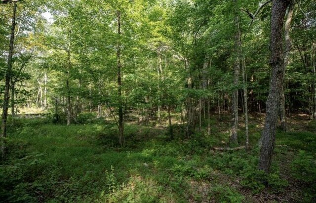 595 Compass Dr, Jasper, TN 37347