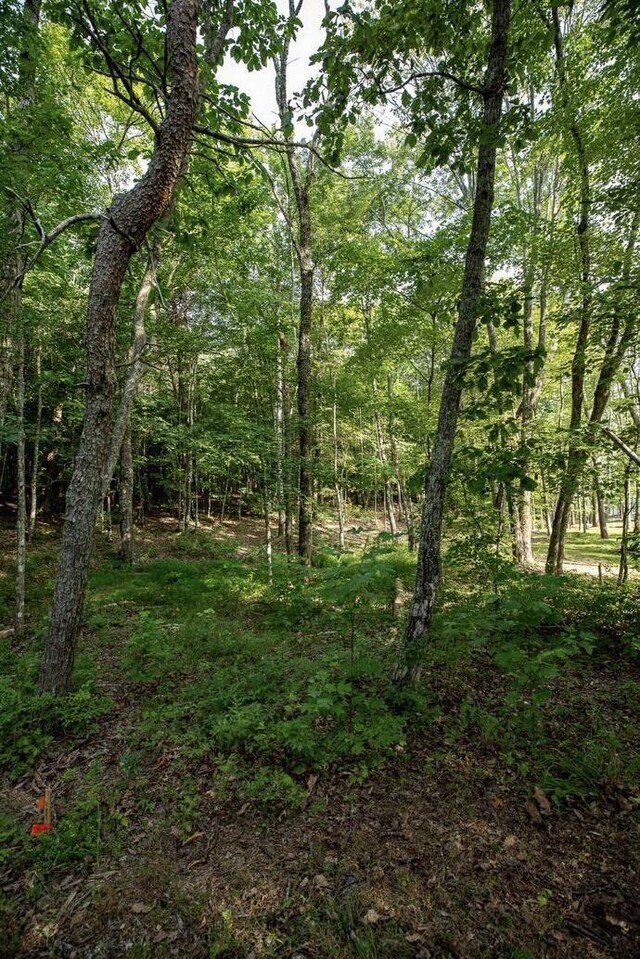 595 Compass Dr, Jasper, TN 37347