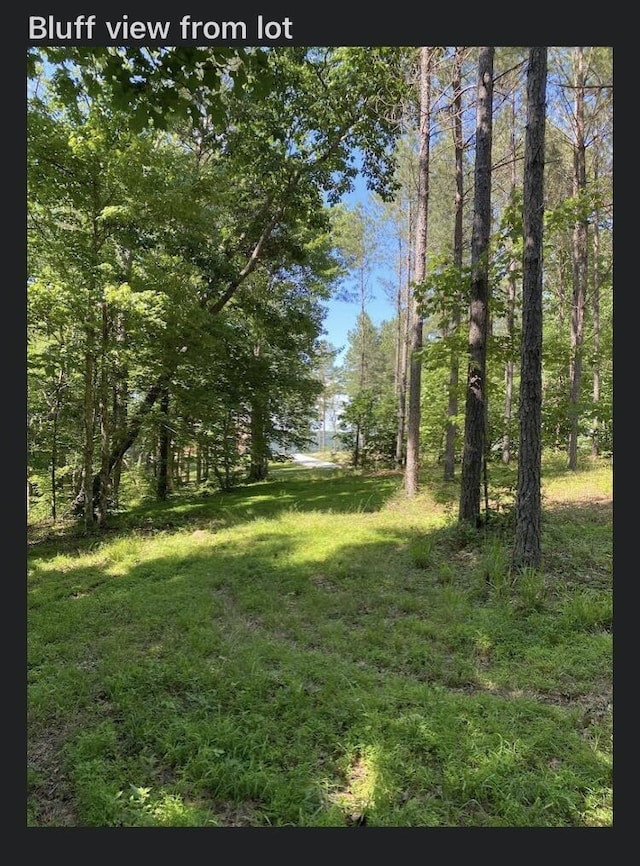 595 Compass Dr, Jasper, TN 37347
