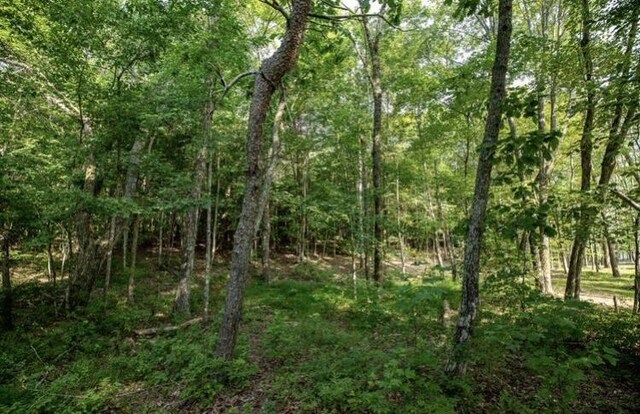 595 Compass Dr, Jasper, TN 37347