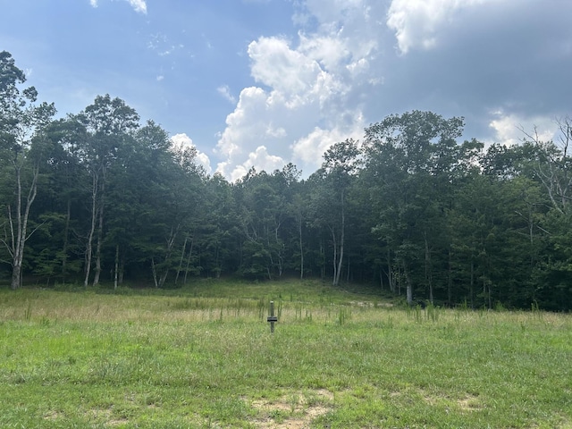 595 Compass Dr, Jasper, TN 37347 - photo 1