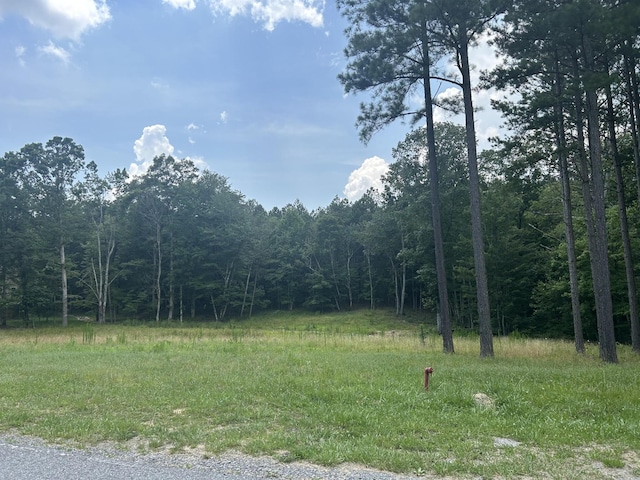 595 Compass Dr, Jasper, TN 37347 - photo 3