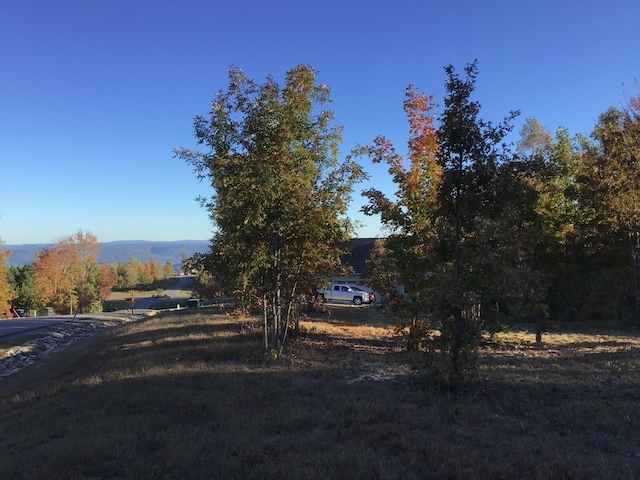 245 Lookout View Dr, Jasper, TN 37347