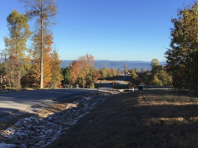 245 Lookout View Dr, Jasper, TN 37347