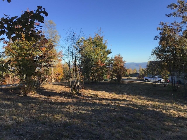 245 Lookout View Dr, Jasper, TN 37347