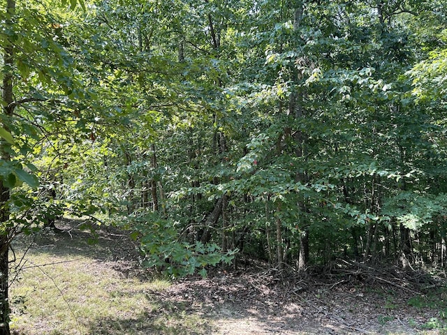 245 Lookout View Dr, Jasper, TN 37347