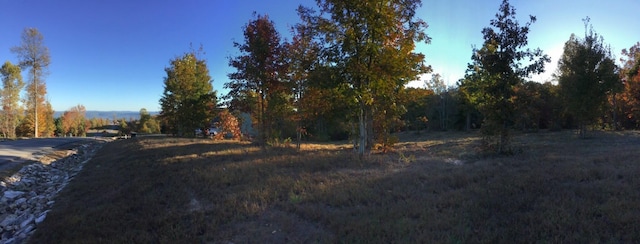 245 Lookout View Dr, Jasper, TN 37347