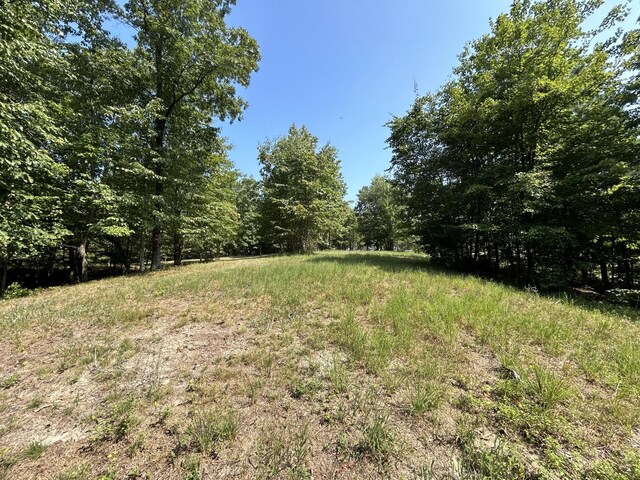 245 Lookout View Dr, Jasper, TN 37347