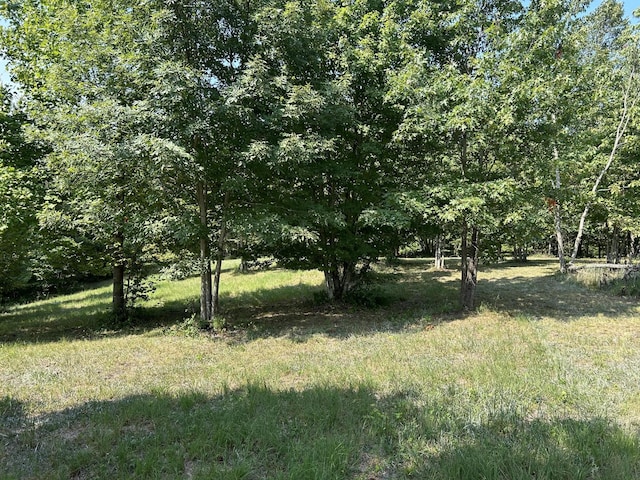 245 Lookout View Dr, Jasper, TN 37347