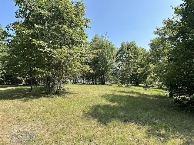 245 Lookout View Dr, Jasper, TN 37347