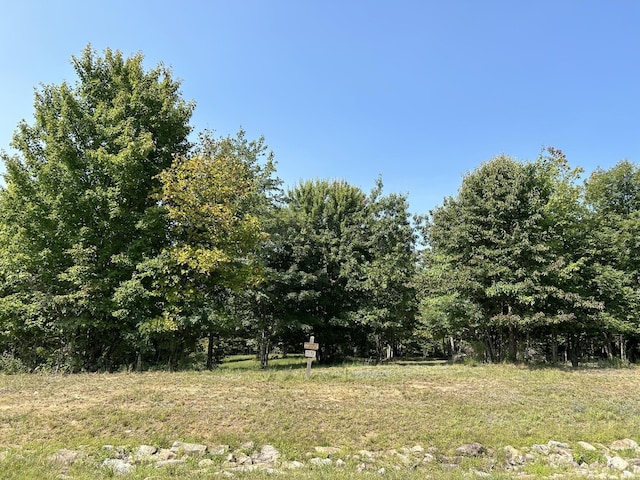 245 Lookout View Dr, Jasper, TN 37347