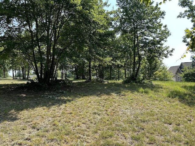 245 Lookout View Dr, Jasper, TN 37347