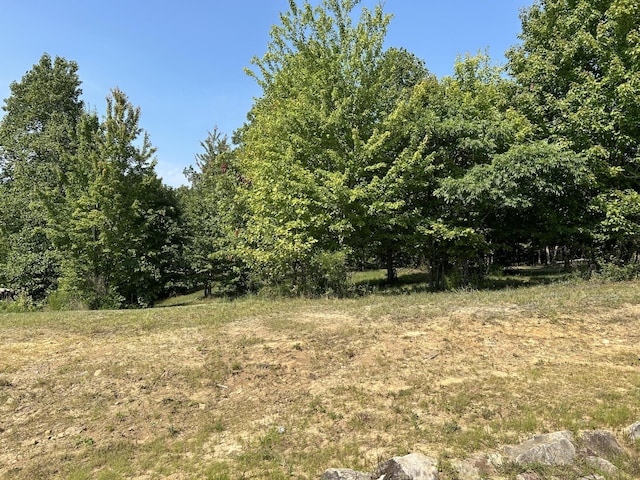 245 Lookout View Dr, Jasper, TN 37347