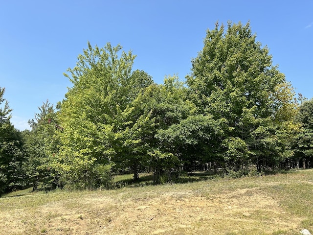 245 Lookout View Dr, Jasper, TN 37347