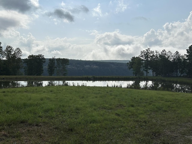3839 Crockett Pt, Jasper, TN 37347