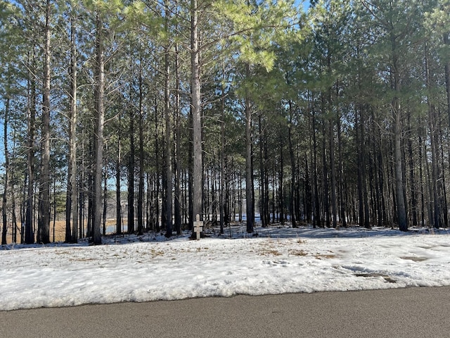 3839 Crockett Pt, Jasper, TN 37347