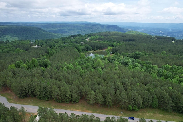 250 Bear Trace Dr, Jasper, TN 37347