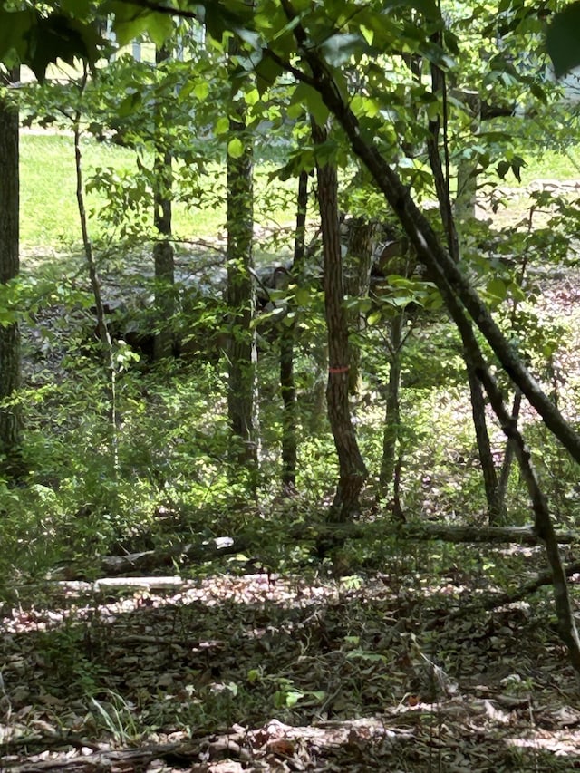 250 Bear Trace Dr, Jasper, TN 37347