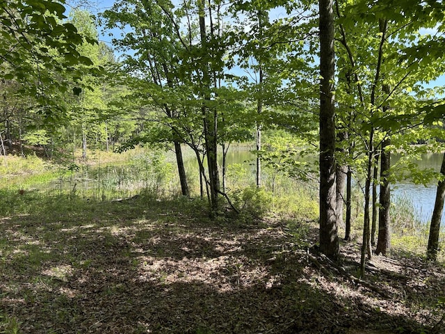 250 Bear Trace Dr, Jasper, TN 37347