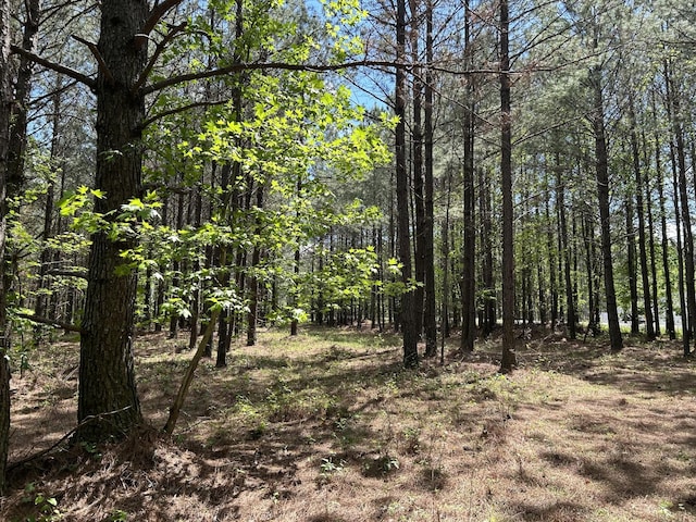 250 Bear Trace Dr, Jasper, TN 37347