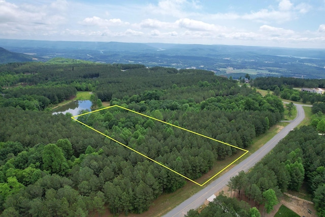 250 Bear Trace Dr, Jasper, TN 37347