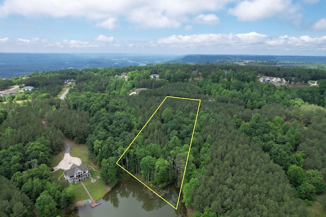 250 Bear Trace Dr, Jasper, TN 37347