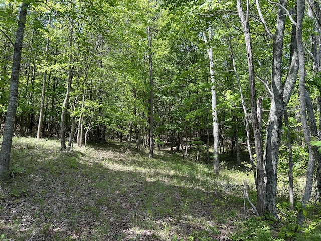 250 Bear Trace Dr, Jasper, TN 37347