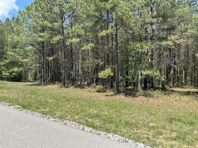 250 Bear Trace Dr, Jasper, TN 37347