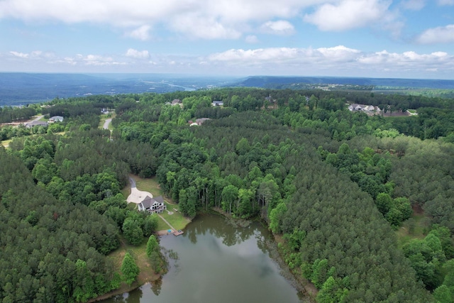 250 Bear Trace Dr, Jasper, TN 37347