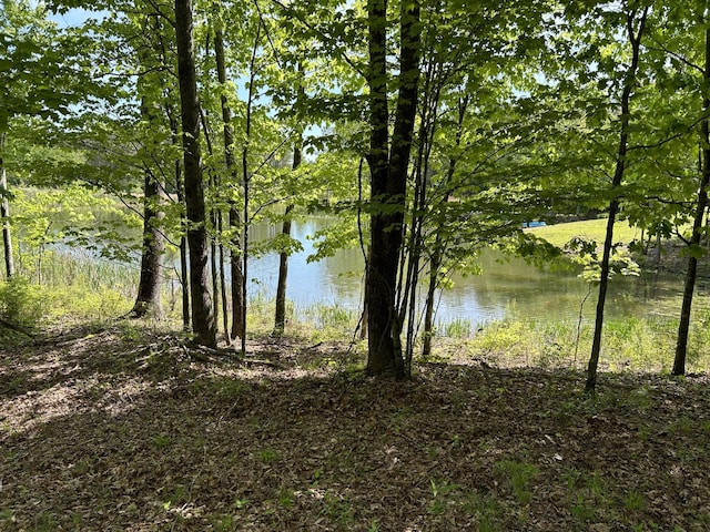 250 Bear Trace Dr, Jasper, TN 37347