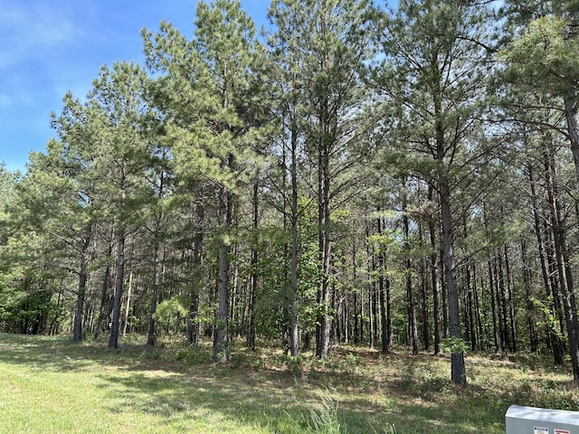 250 Bear Trace Dr, Jasper, TN 37347