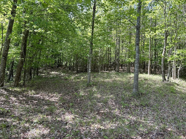 250 Bear Trace Dr, Jasper, TN 37347