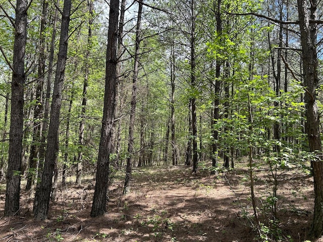 250 Bear Trace Dr, Jasper, TN 37347